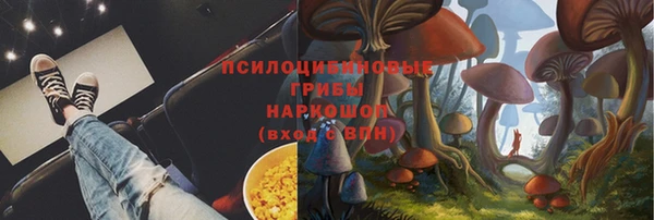 ECSTASY Алексеевка