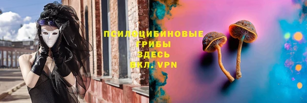 ECSTASY Алексеевка