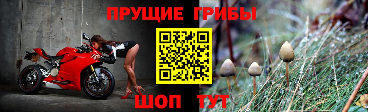 Галлюциногенные грибы GOLDEN TEACHER Краснокамск